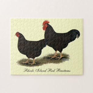 Rhode Island Red Bantams Jigsaw Puzzle