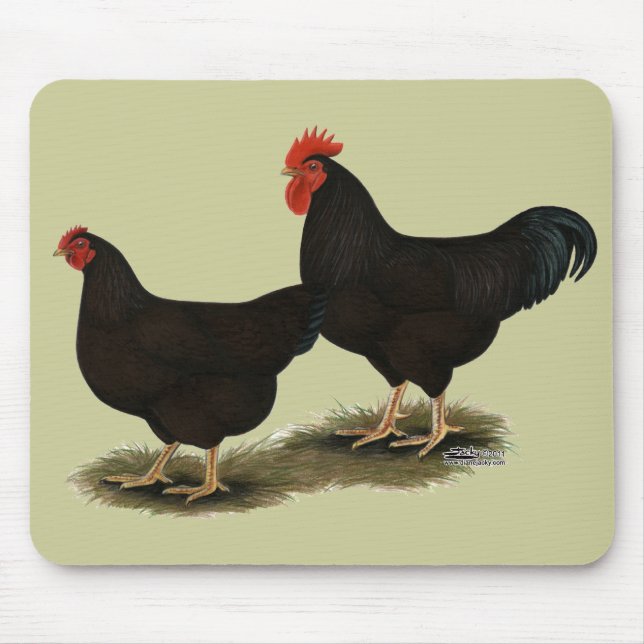 Rhode Island Red Bantams Mouse Pad (Front)