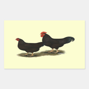 Rhode Island Red Bantams Rectangular Sticker
