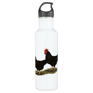 Rhode Island Red Bantams Water Bottle