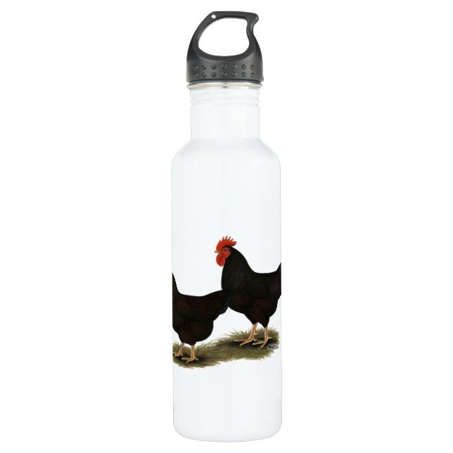 Rhode Island Red Bantams Water Bottle (Front)