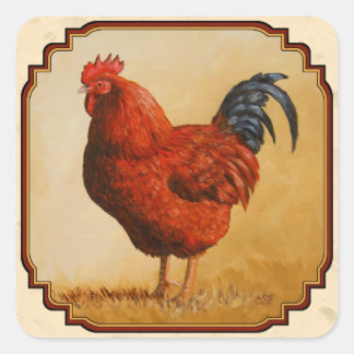 Rhode Island Red Chicken Beige Square Sticker