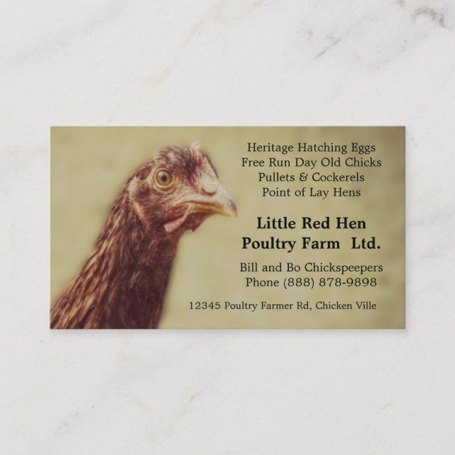 Rhode Island Red Chicken Pullet - Poultry Farmer Business Card (Front)