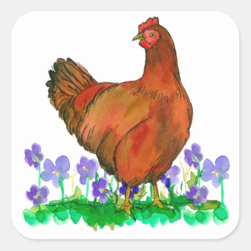 Rhode Island Red Chicken Watercolor Violets Square Sticker
