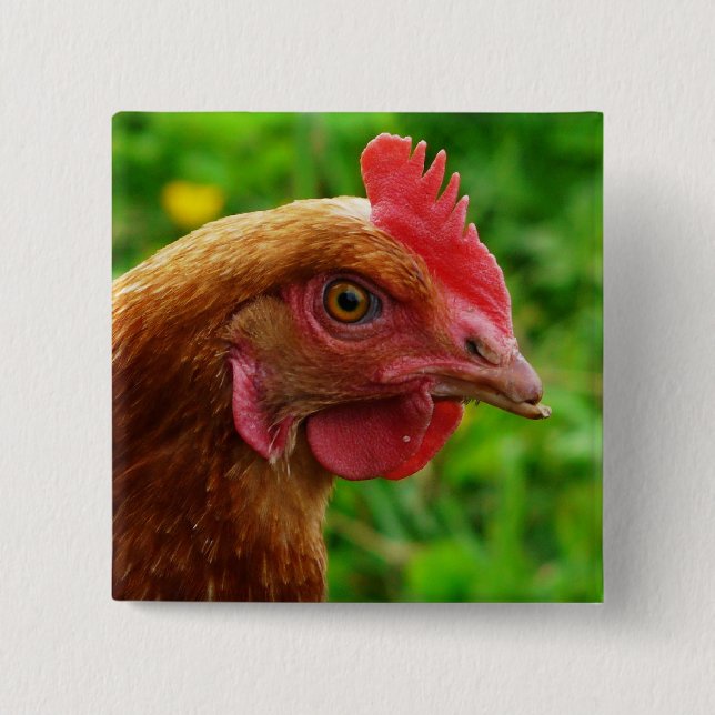 Rhode Island Red Hen Button (Front)