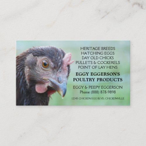 Rhode Island Red Hen Chicken Egg Farmer Business Cards