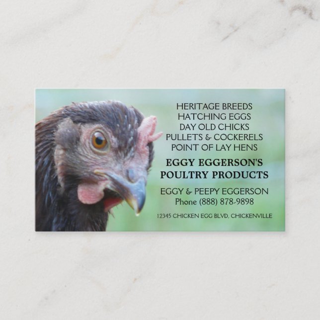 Rhode Island Red Hen Chicken Egg Farmer Business Card (Front)