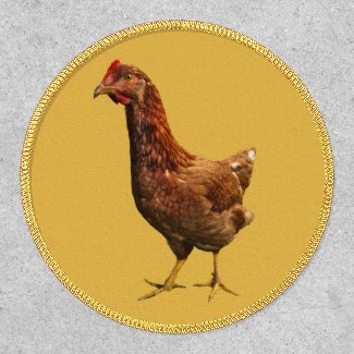 Rhode Island Red Hen Chicken Patch