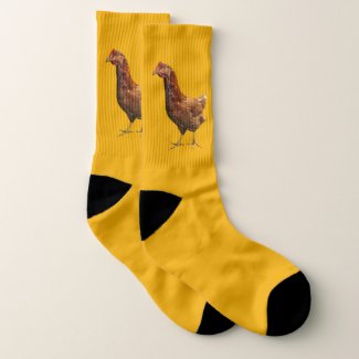 Rhode Island Red Hen Gold Socks