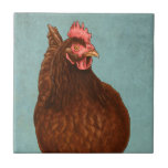 Rhode Island Red Hen Tile<br><div class="desc">Tile with illustration of Rhode Island Red hen.</div>