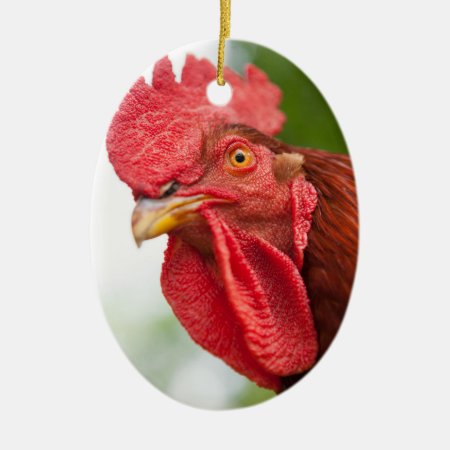 Rhode Island Red Rooster Ceramic Ornament