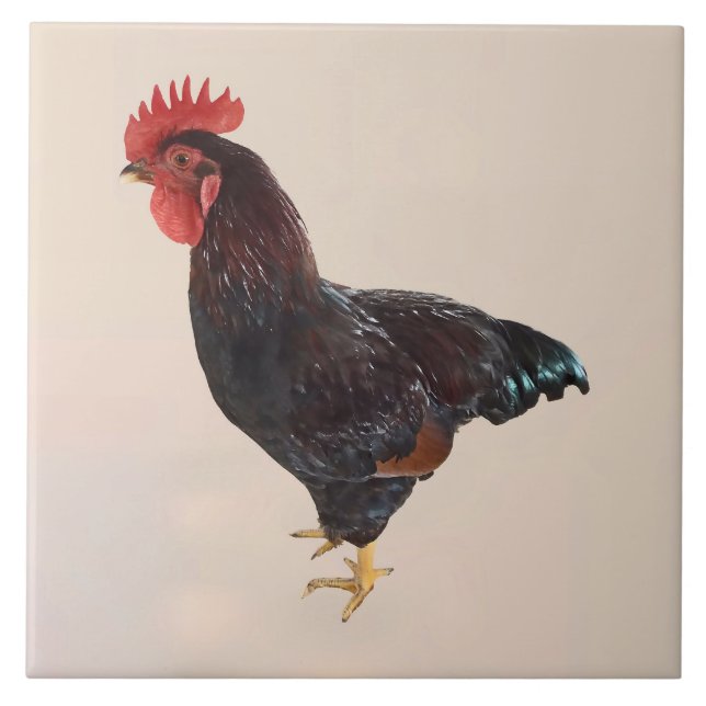 Rhode Island Red Rooster Ceramic Tile (Front)