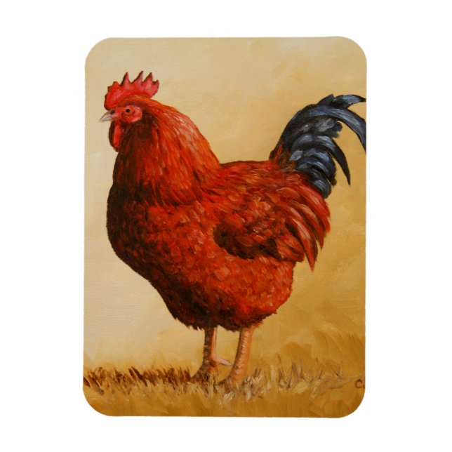 Rhode Island Red Rooster Chicken Magnet (Vertical)