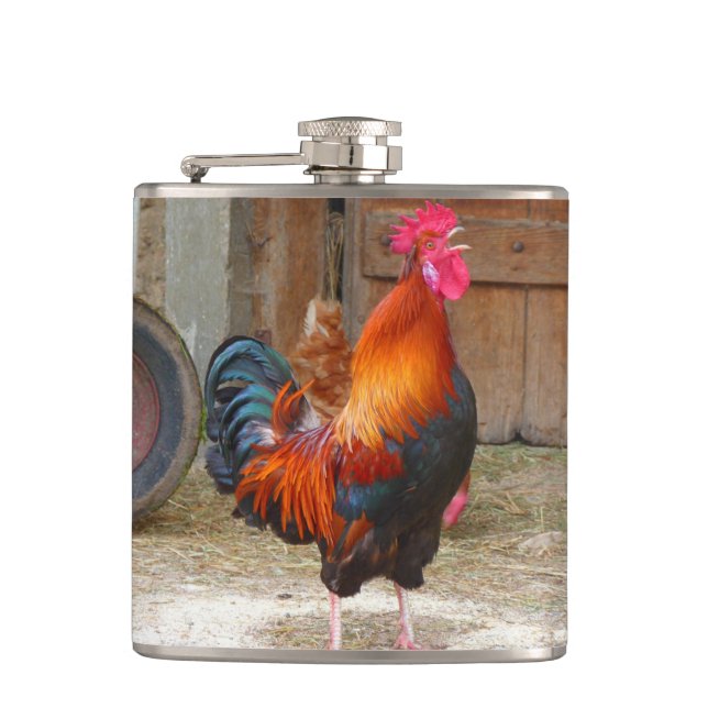 Rhode Island Red Rooster Crowing in Barnyard Flask (Front)