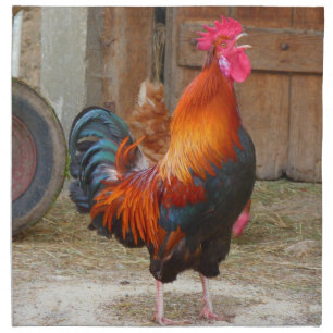 Rhode Island Red Rooster Crowing in Barnyard Napkin
