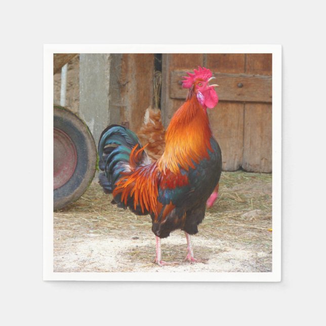 Rhode Island Red Rooster Crowing in Barnyard Paper Napkins (Front)