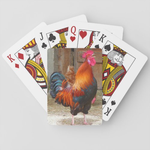 Rhode Island Red Rooster Crowing in Barnyard Poker Cards