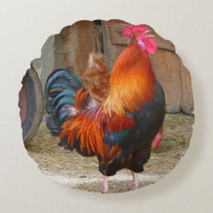 Rhode Island Red Rooster Crowing in Barnyard Round Pillow