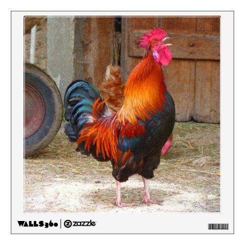 Rhode Island Red Rooster Crowing in Barnyard Wall Decal