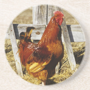 Rhode Island Red Rooster Drink Coaster