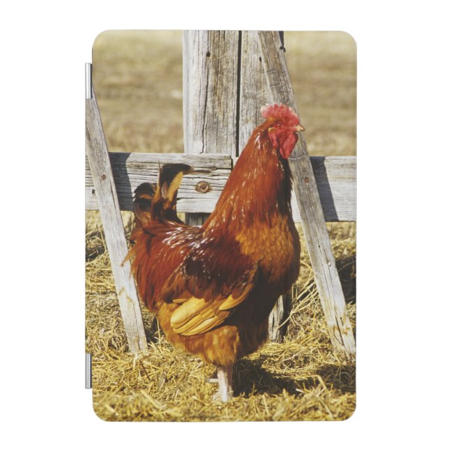 Rhode Island Red Rooster iPad Mini Cover (Front)
