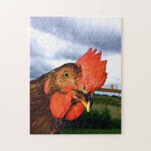 Rhode Island Red Rooster Jigsaw Puzzle