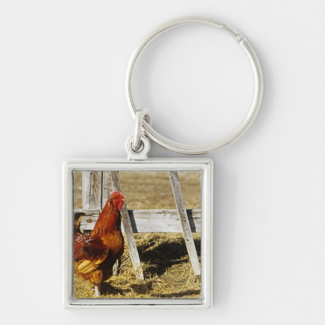 Rhode Island Red Rooster Keychain (Front)