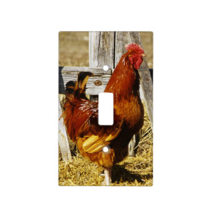 Rhode Island Red Rooster Light Switch Cover