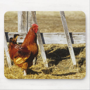 Rhode Island Red Rooster Mouse Pad