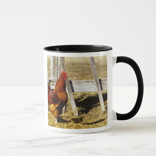 Rhode Island Red Rooster Mug (Right)