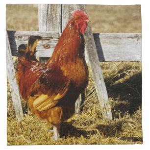Rhode Island Red Rooster Napkin
