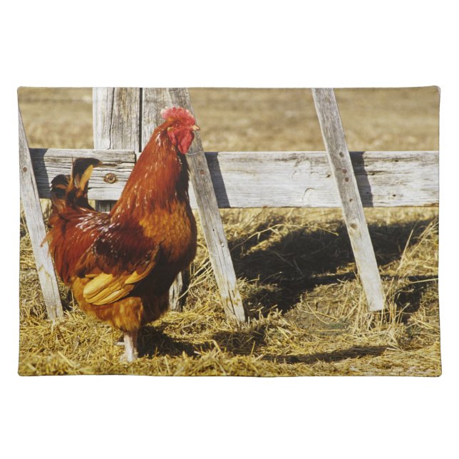 Rhode Island Red Rooster Placemat (Front)