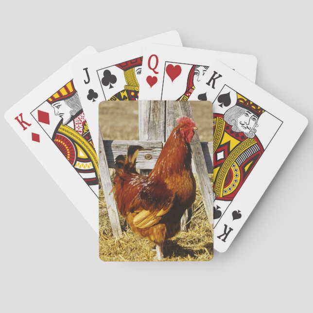 Rhode Island Red Rooster Poker Cards (Back)