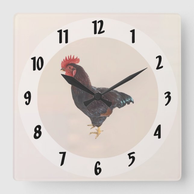 Rhode Island Red Rooster Square Wall Clock (Front)