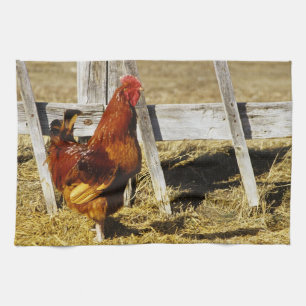 Rhode Island Red Rooster Towel