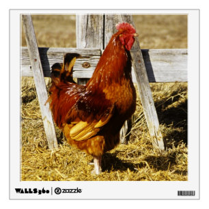 Rhode Island Red Rooster Wall Decal