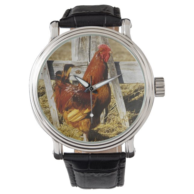 Rhode Island Red Rooster Watch (Front)