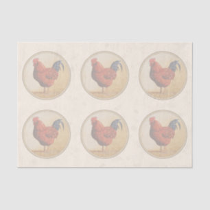 Rhode Island Red Rooster Yellow Background Tissue Paper