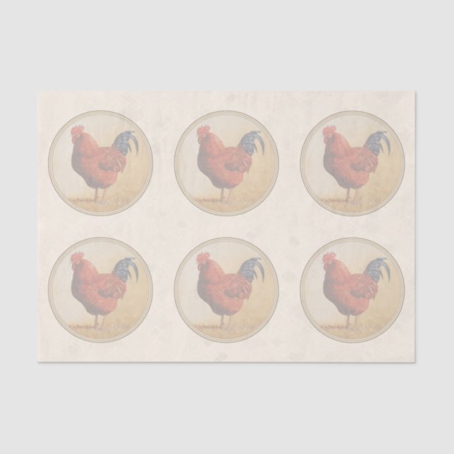 Rhode Island Red Rooster Yellow Background Tissue Paper (Front)