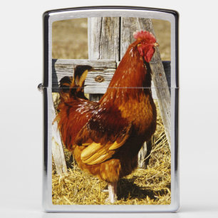 Rhode Island Red Rooster Zippo Lighter