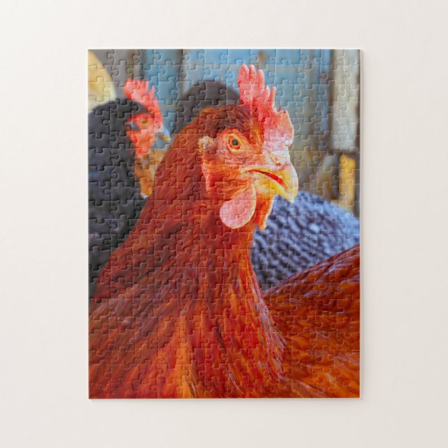 Rhode Island Rooster. Jigsaw Puzzle (Vertical)