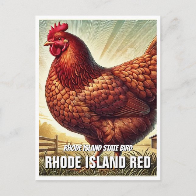 Rhode Island State Bird Rhode Island Red Postcard (Front)