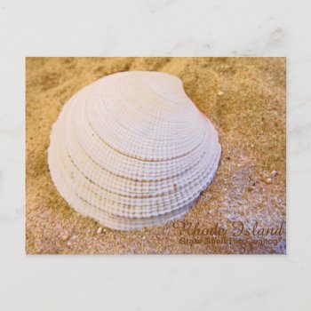 Rhode Island State Shell Quahog Postcard by RenderlyYours at Zazzle