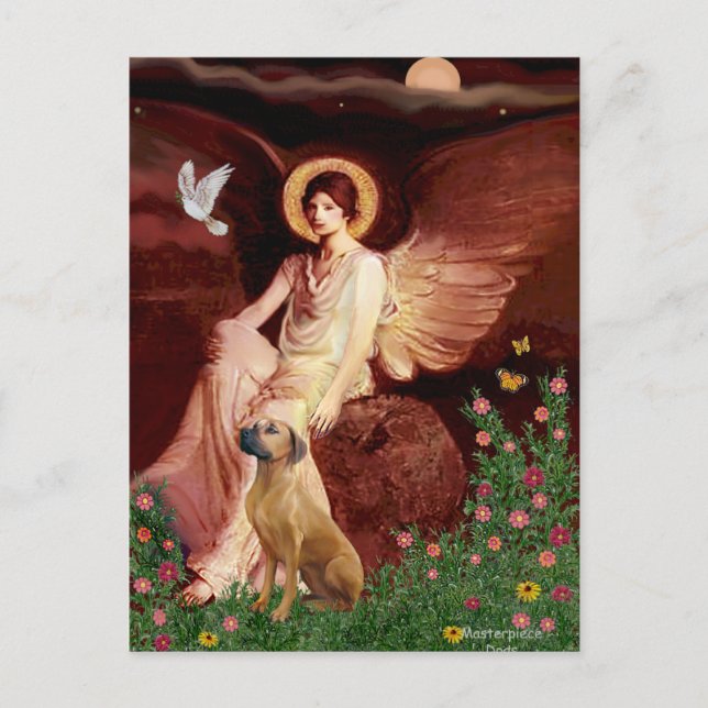 Rhodeisn Ridgebak 2 - Seated Angel Postcard (Front)