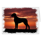 Rhodesian Ridgeback (Front Horizontal)