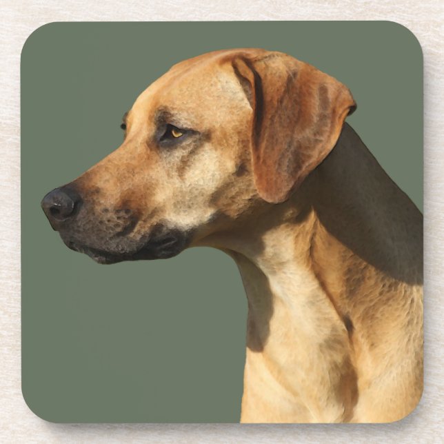 Rhodesian Ridgeback Beverage Coaster (Front)