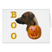 Rhodesian Ridgeback Boo (Front Horizontal)