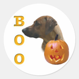 Rhodesian Ridgeback Boo Classic Round Sticker