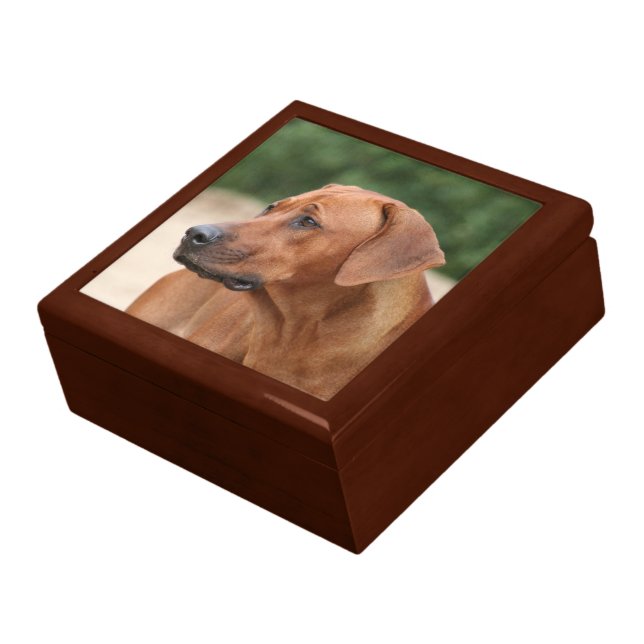 Rhodesian Ridgeback Box (Side)