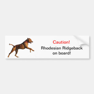 Rhodesian Ridgeback bumper sticker
